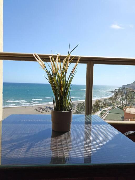 Estudio Miramarprimera Linea Playa Amazing Views Беналмадена Екстериор снимка