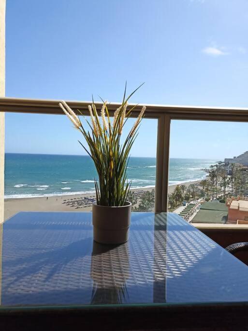 Estudio Miramarprimera Linea Playa Amazing Views Беналмадена Екстериор снимка